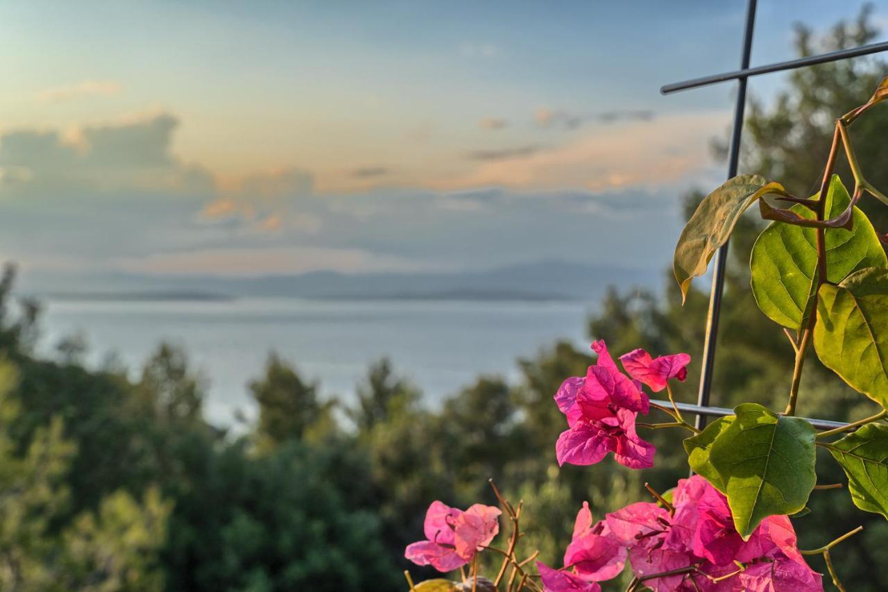 Holiday House Sunset Haven Estate Sutivan Kültér fotó